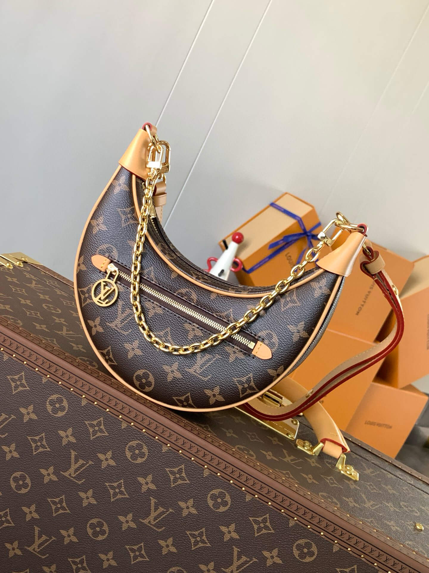 Louis Vuitton Monogram Canvas Loop Handbag
