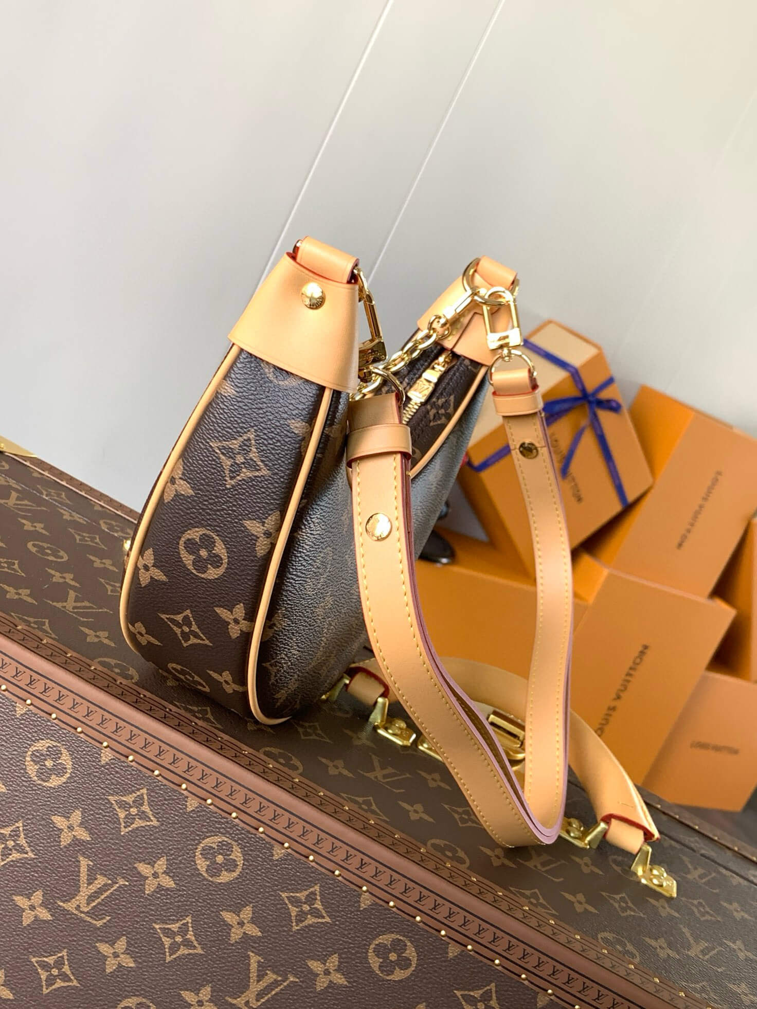 Louis Vuitton Monogram Canvas Loop Handbag - Image 6