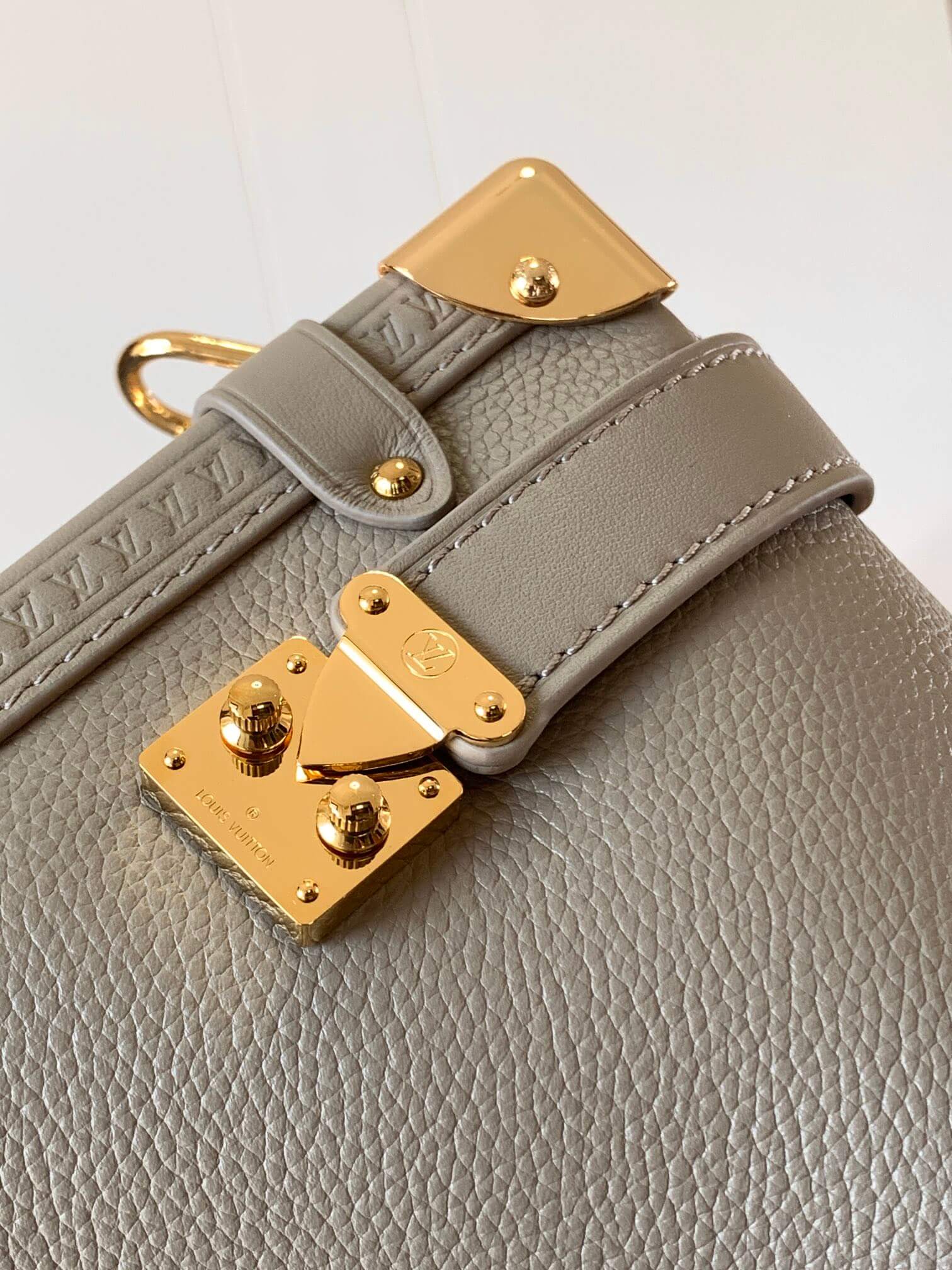 Louis Vuitton Leather MM Side Trunk Bag in Taupe - Image 6