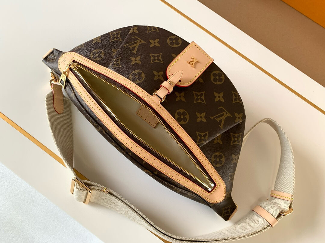 Louis Vuitton Monogram Canvas High Rise Bumbag - Image 5