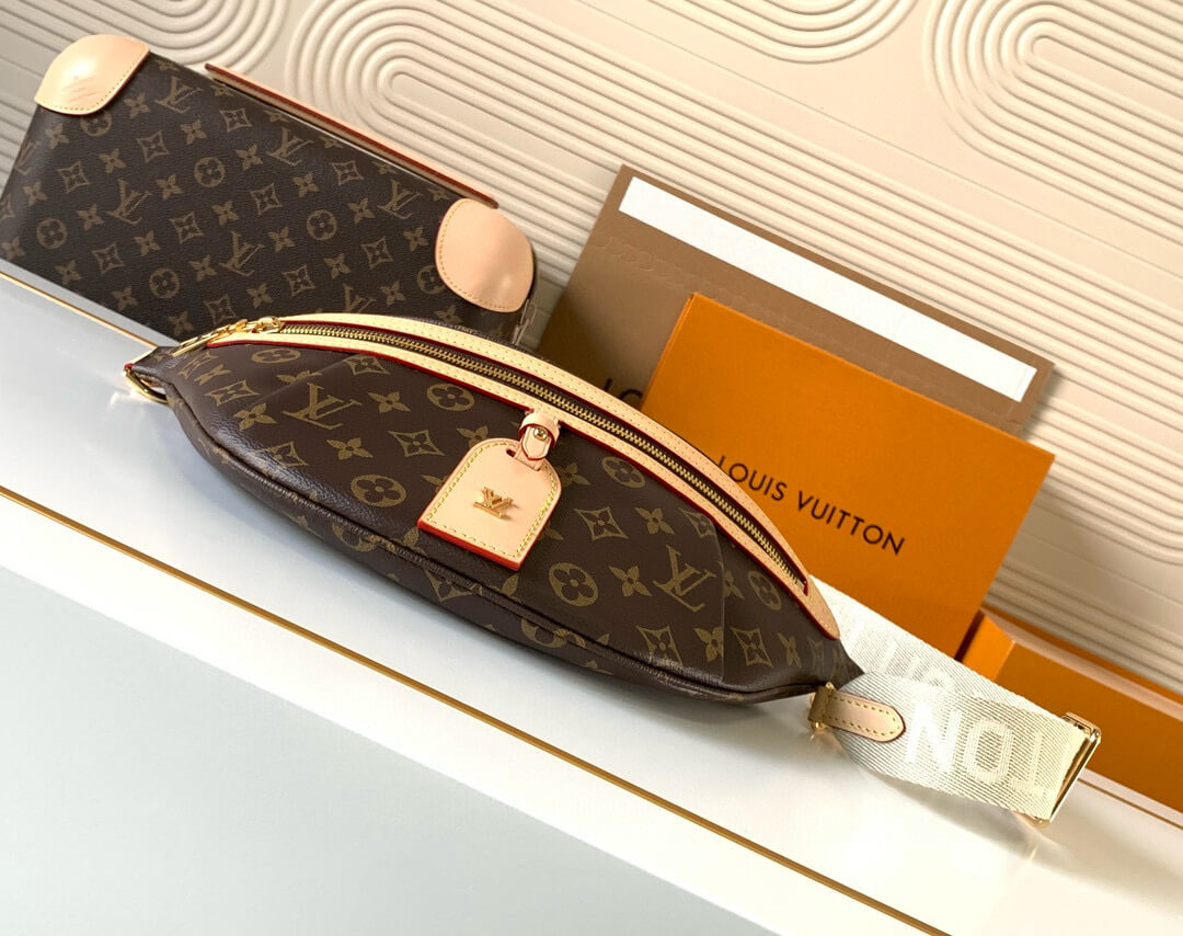 Louis Vuitton Monogram Canvas High Rise Bumbag - Image 4