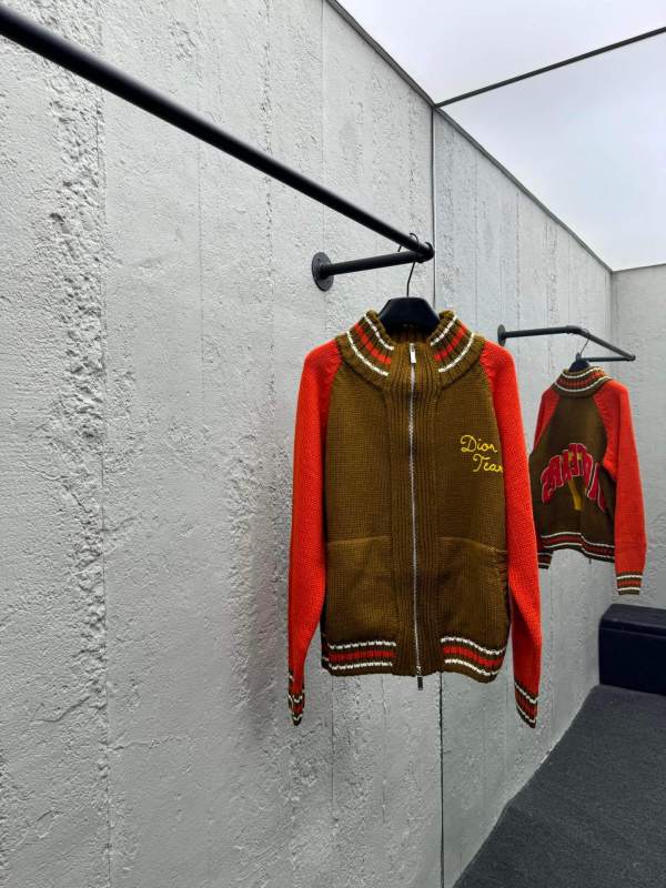 Dior x Denim Tears Zipped Blouson