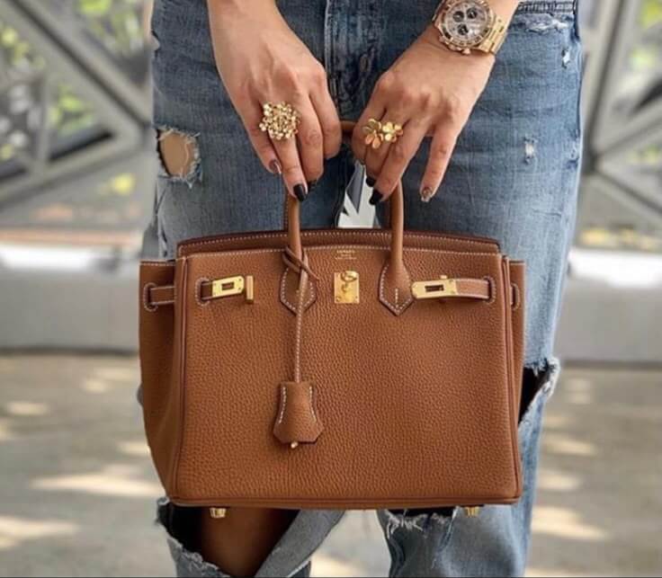 Decoding the Hermes Birkin: Your Ultimate Guide to the World’s Most Coveted Bag
