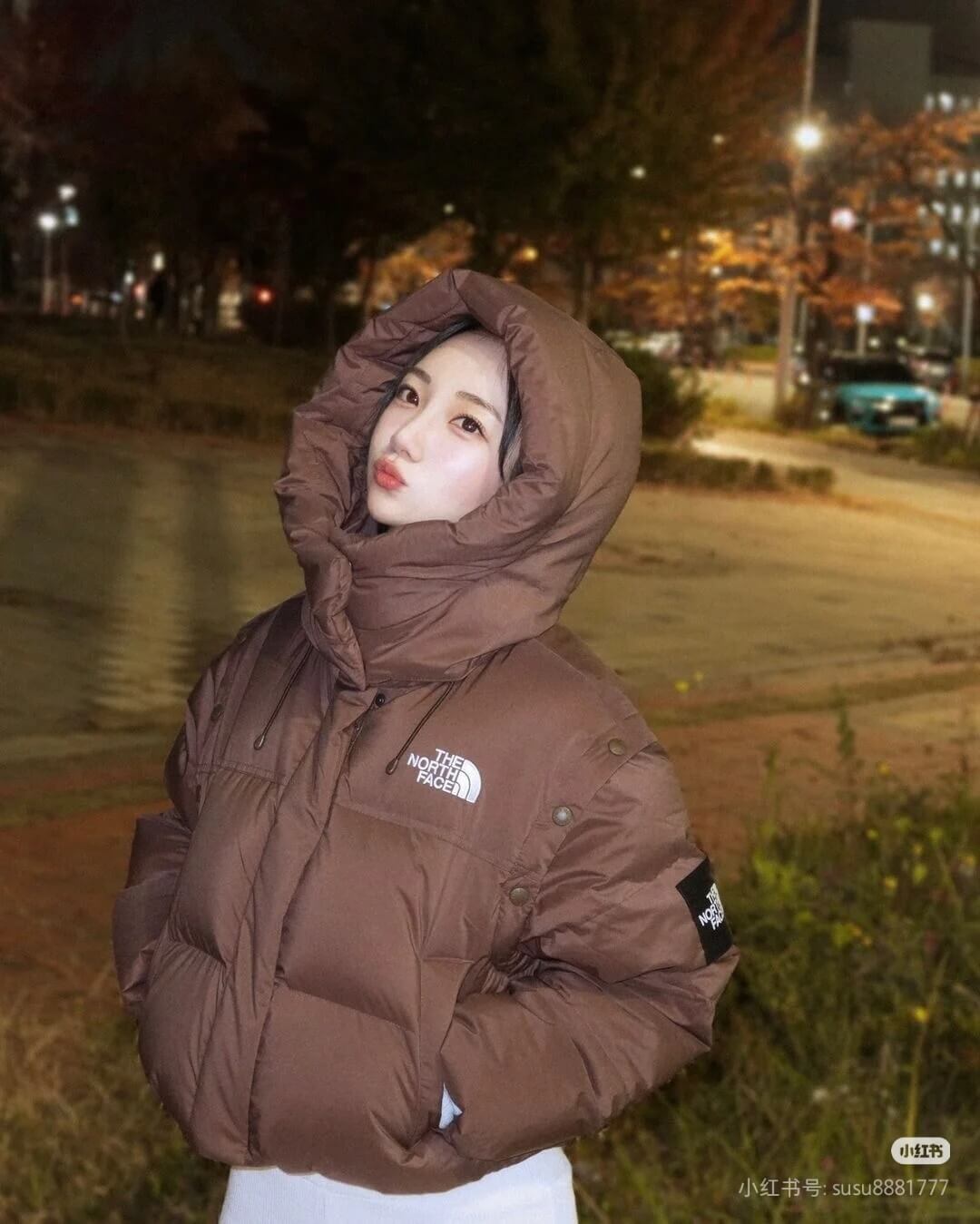 North Face Novelty Nuptse Detachable RDS Down Jacket- Brown - Image 11