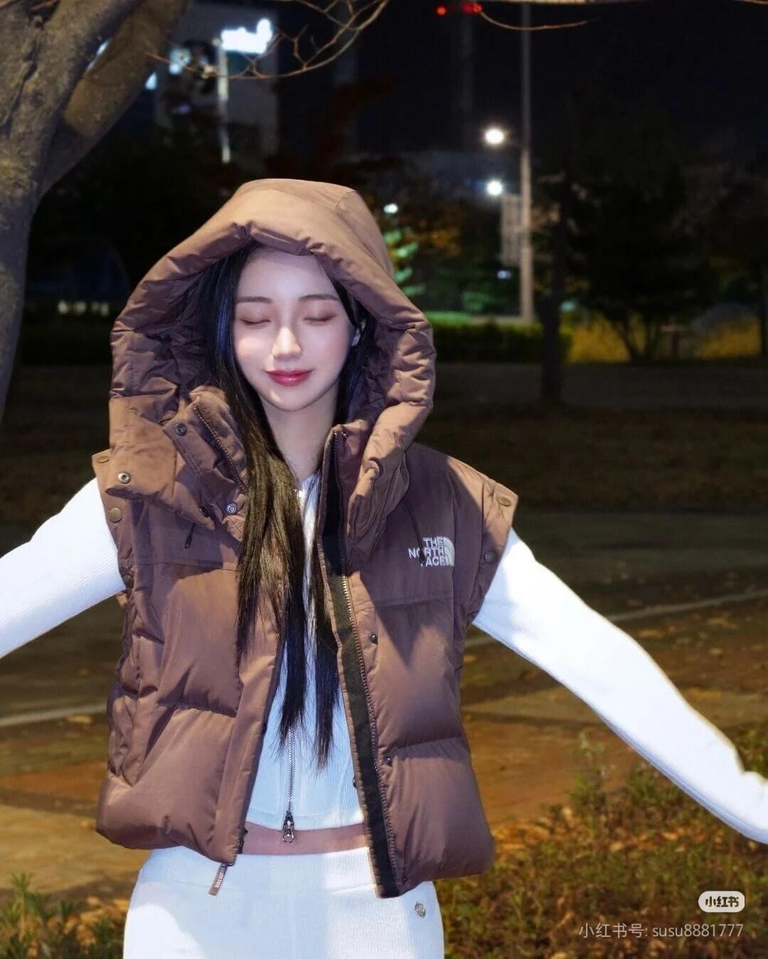 North Face Novelty Nuptse Detachable RDS Down Jacket- Brown - Image 12