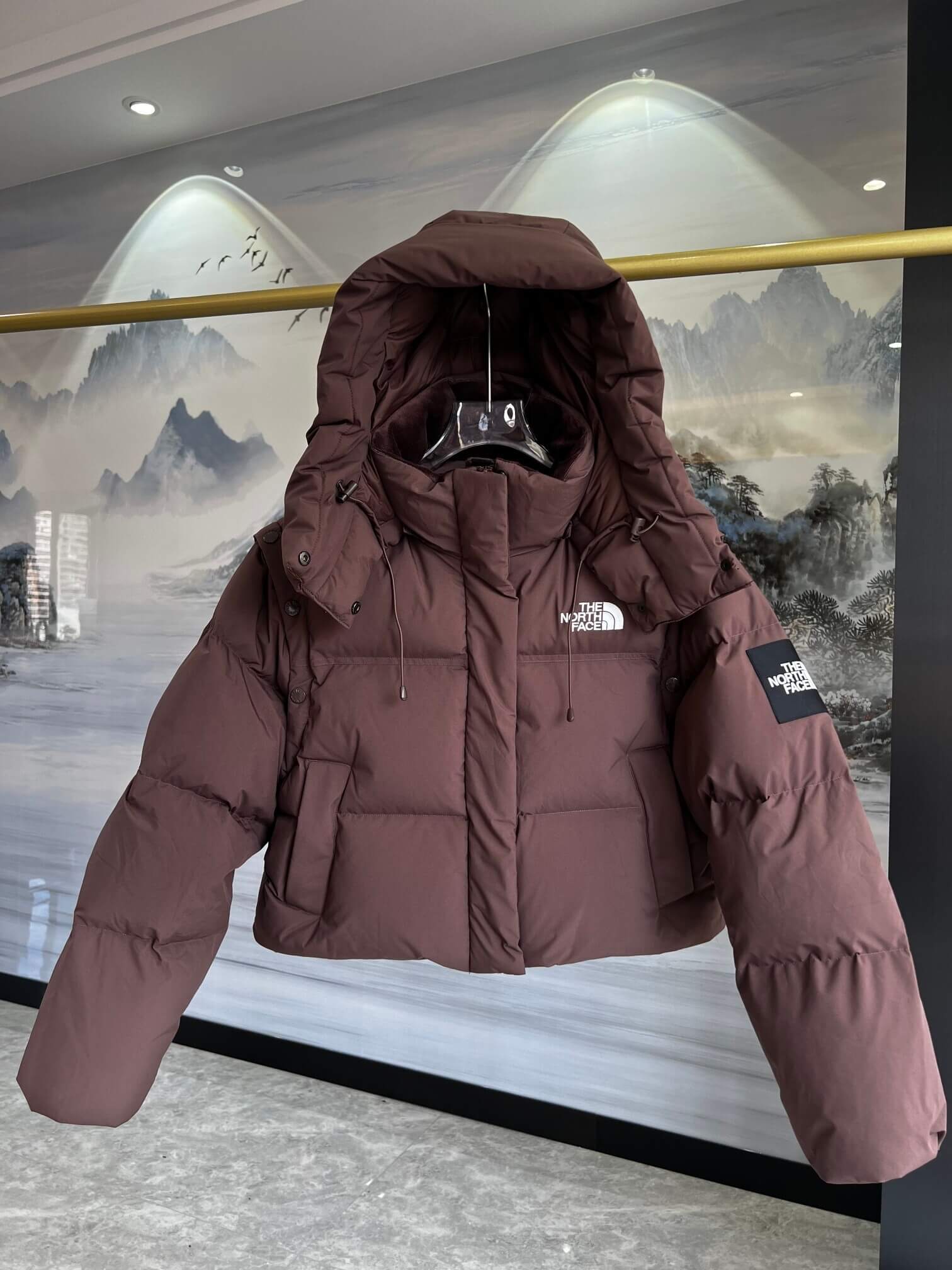 North Face Novelty Nuptse Detachable RDS Down Jacket- Brown
