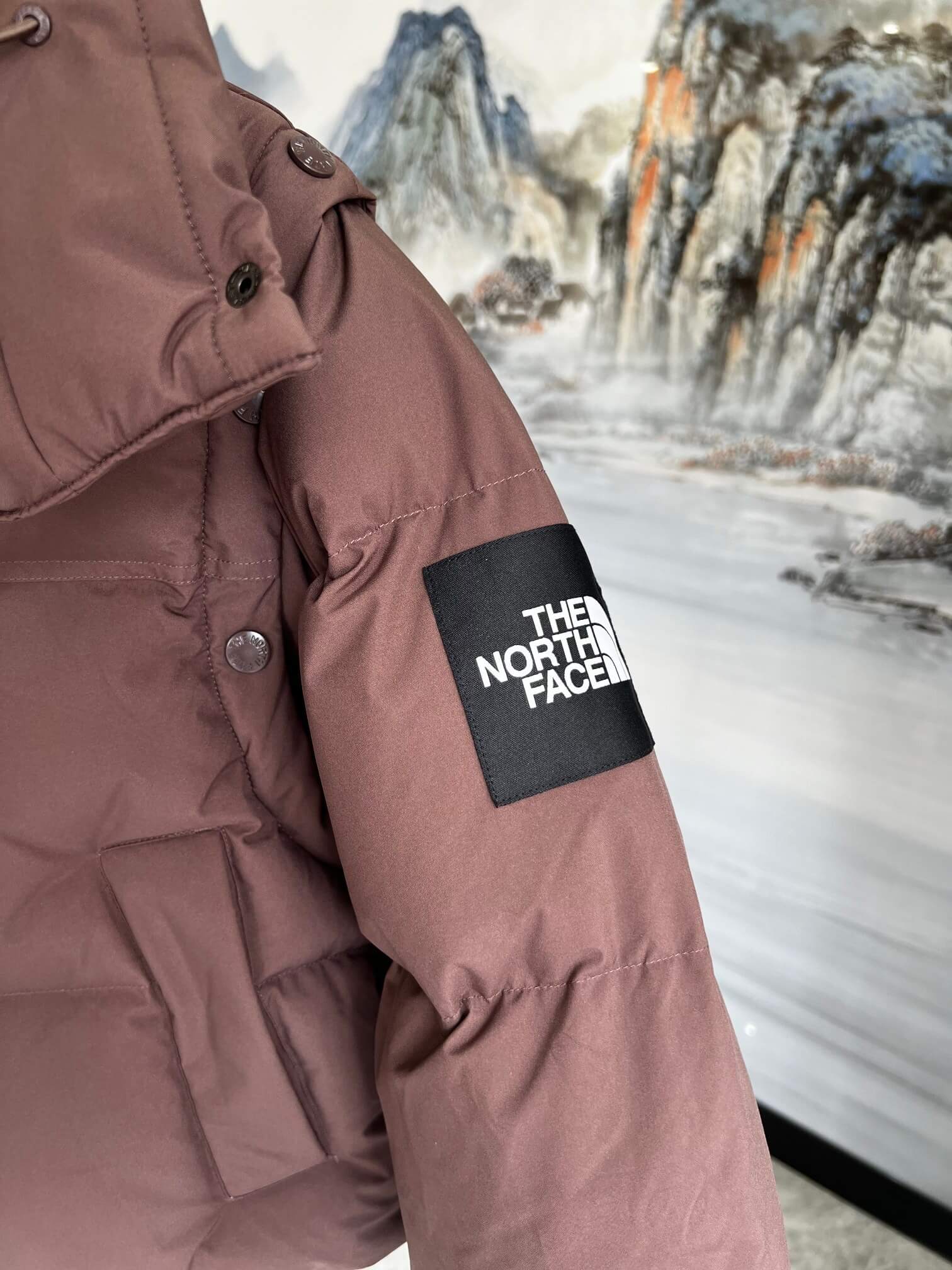 North Face Novelty Nuptse Detachable RDS Down Jacket- Brown - Image 6