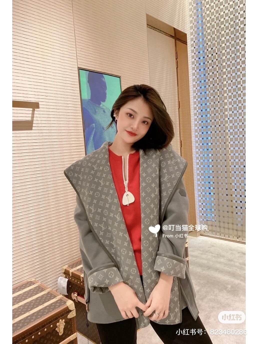 Louis Vuitton Hooded Short Wrap Coat- Gray - Image 8