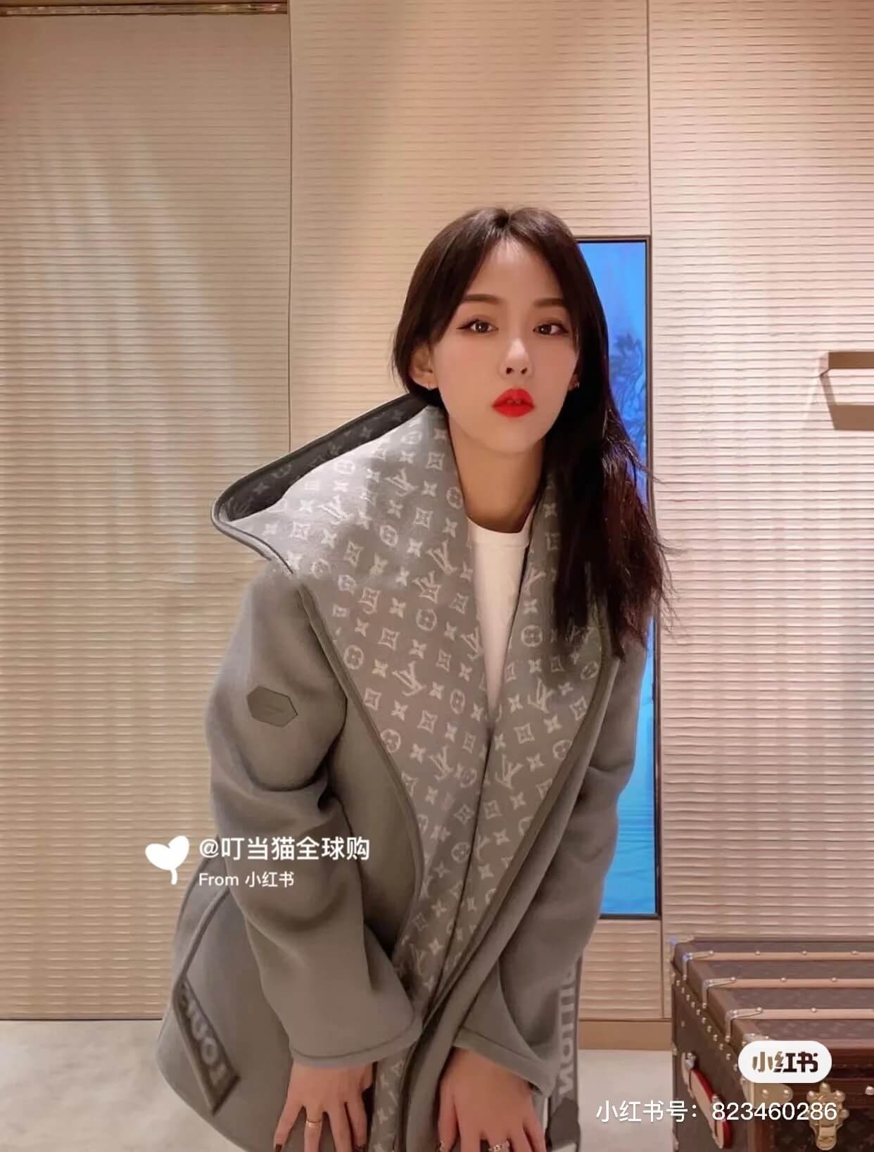 Louis Vuitton Hooded Short Wrap Coat- Gray - Image 9