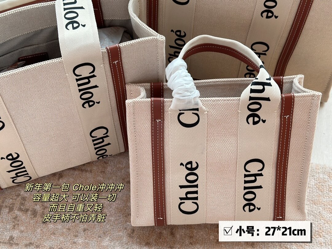 Chloé Small Woody Tote Bag in Canvas and Brown Leather