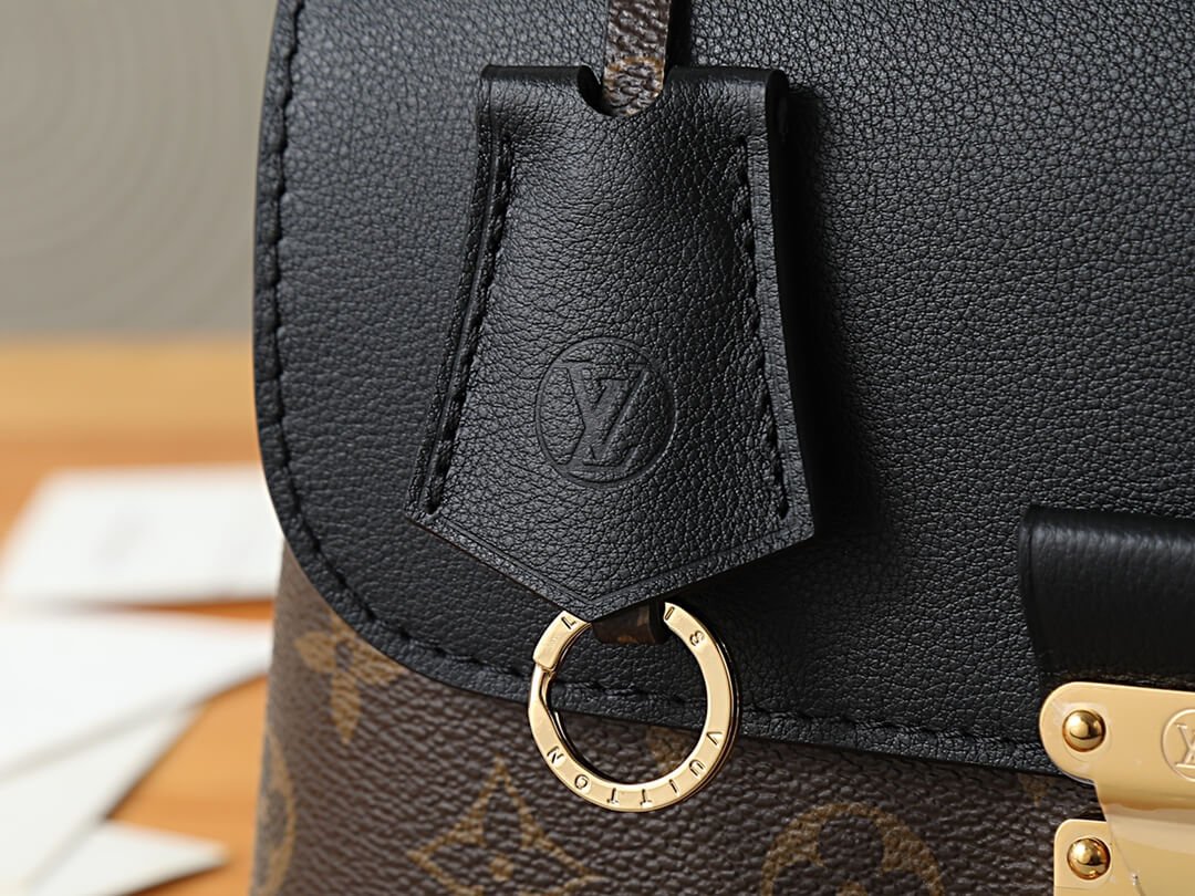 Louis Vuitton Madeleine BB Monogram Canvas and Noir Leather Bag - Image 6